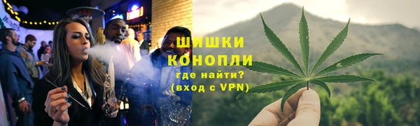 PSILOCYBIN Богородск