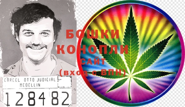 PSILOCYBIN Богородск