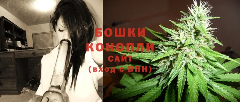 Каннабис OG Kush  Гусь-Хрустальный 